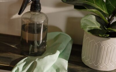 Alles wat je moet weten over afval